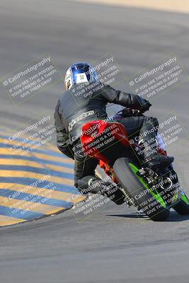 media/Nov-12-2023-SoCal Trackdays (Sun) [[5d1fba4e7d]]/Turn 10 Backside (115pm)/